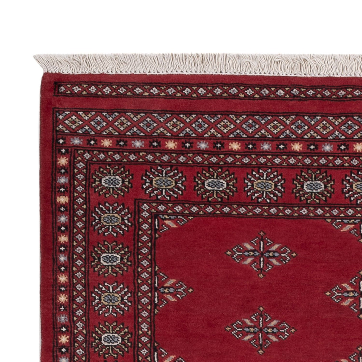 Pakistan Teppich - 218 x 140 cm - rot