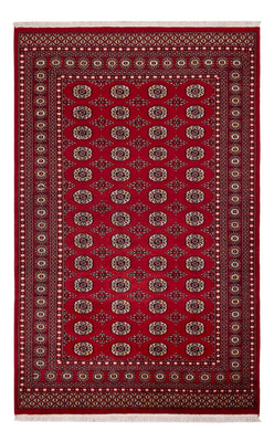 Pakistan Teppich - 256 x 167 cm - rot