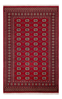 Tappeto Pakistani - 256 x 167 cm - rosso