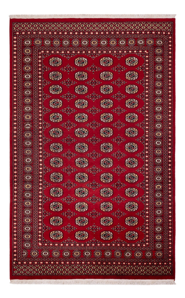 Pakistan Teppich - 256 x 167 cm - rot