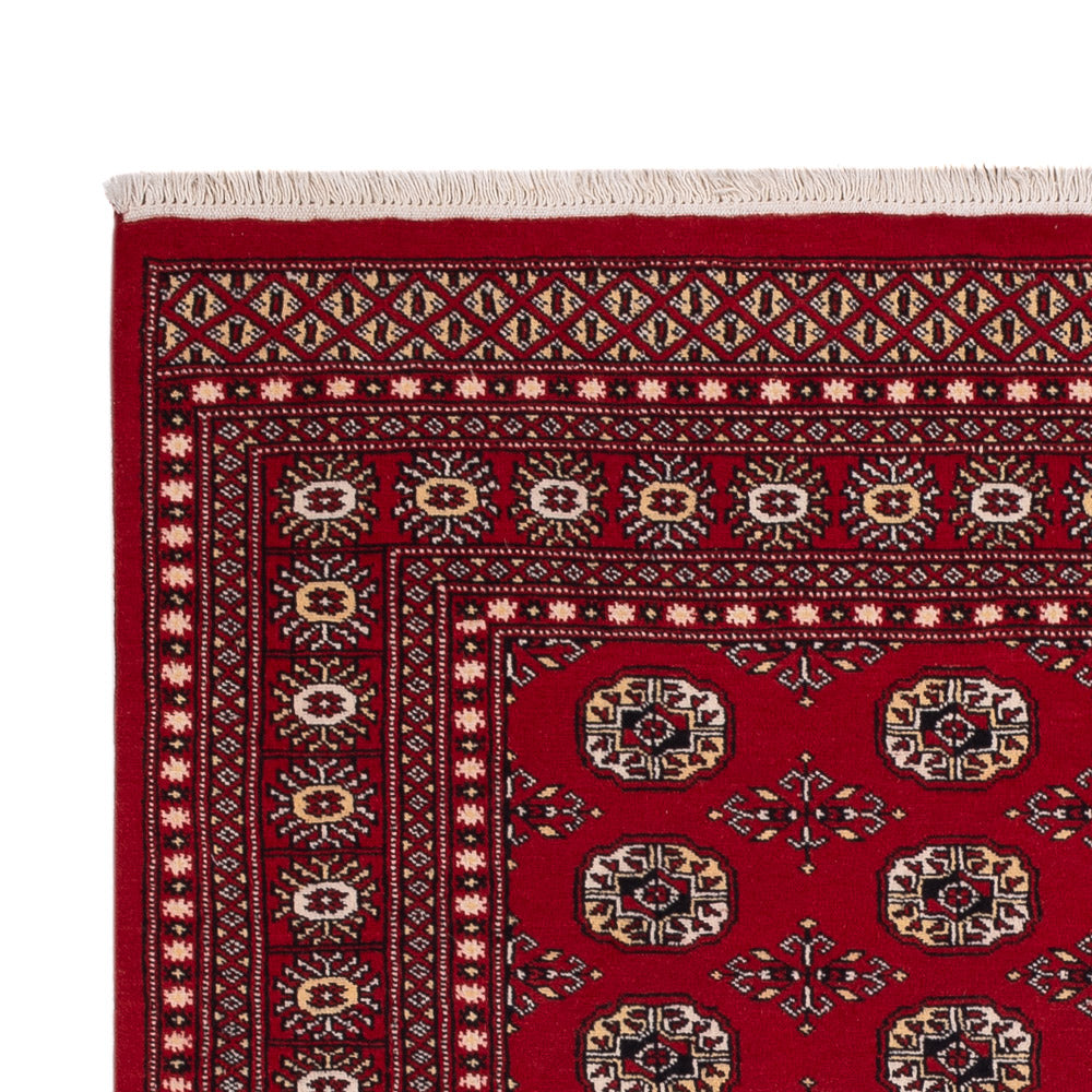 Tappeto Pakistani 256x167cm - Tappeto orientale