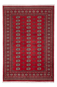 Tappeto Pakistani - 243 x 168 cm - rosso