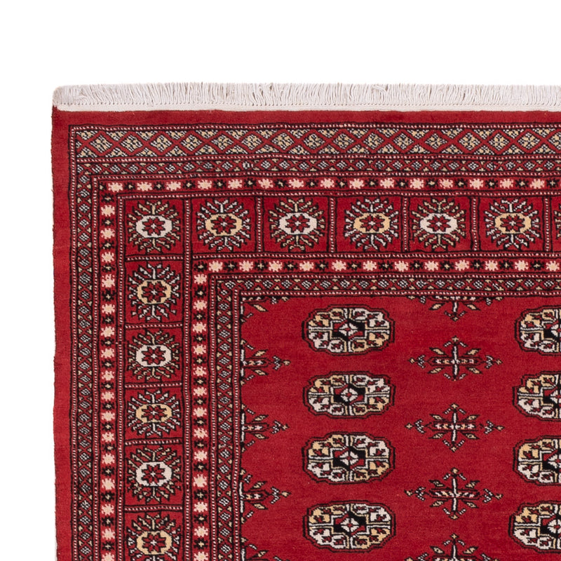 Pakistan Teppich - 243 x 168 cm - rot