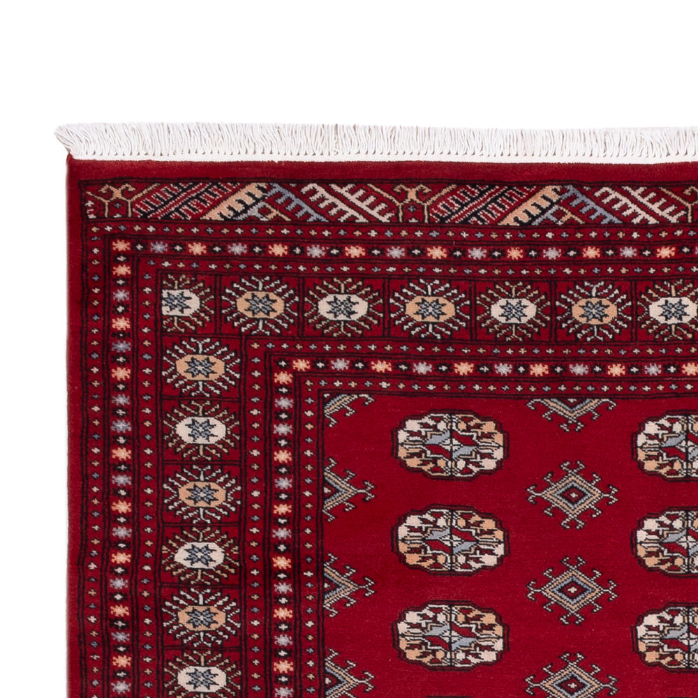 Pakistan Teppich 241x154cm - Orientteppich