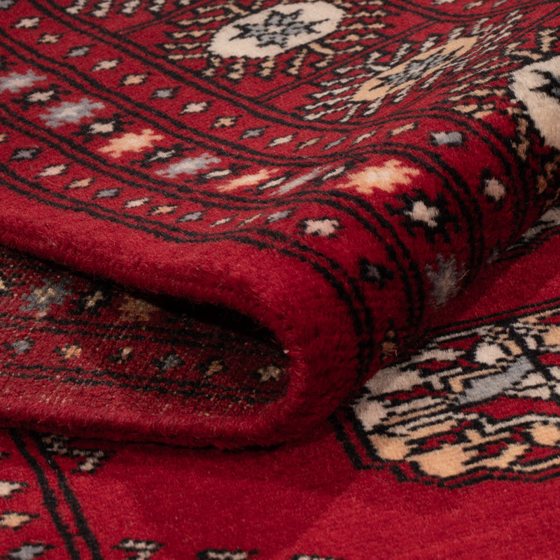 Pakistan Teppich - 241 x 154 cm - rot
