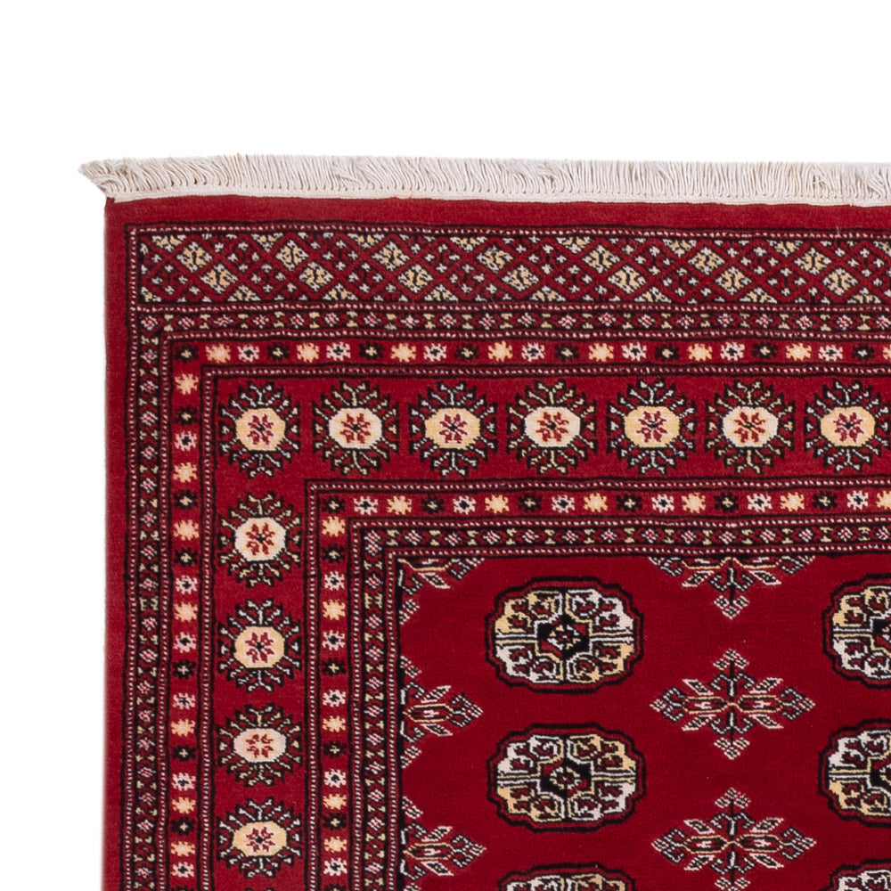 Tappeto Pakistani 244x154cm - Tappeto orientale