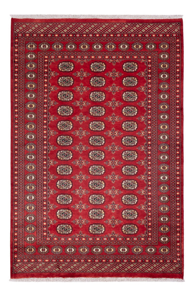 Tapis Pakistani 158x237cm - Tapis oriental