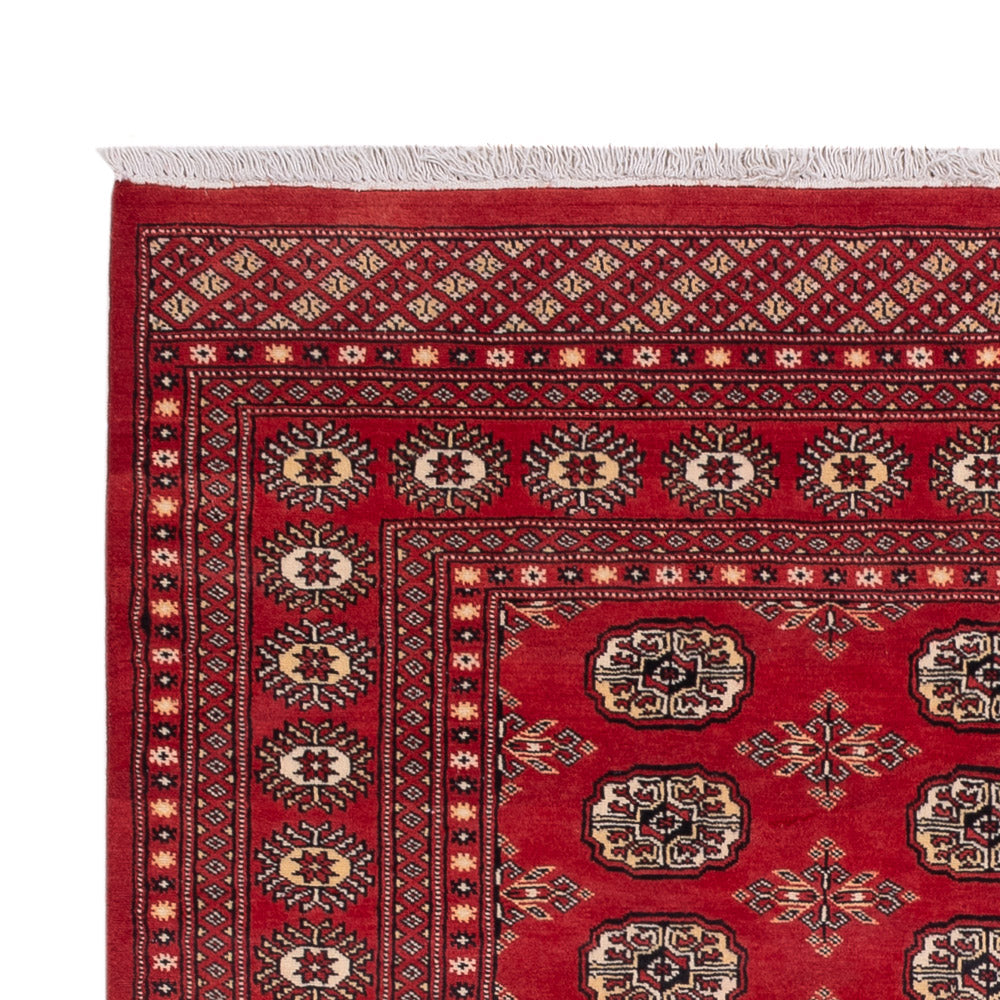 Pakistan Teppich - 237 x 158 cm - rot