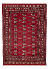 Tapis Pakistani - 240 x 171 cm - rouge