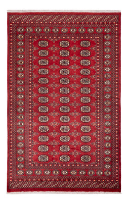 Pakistan Teppich - 250 x 159 cm - rot