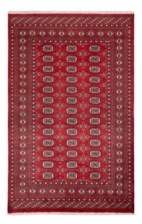 Tappeto Pakistani - 250 x 159 cm - rosso