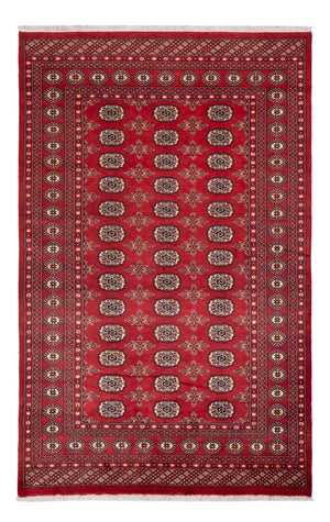 Pakistan Teppich - 250 x 159 cm - rot
