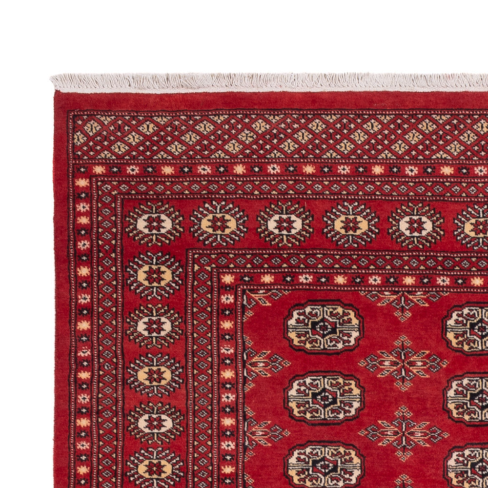 Tappeto Pakistani 250x159cm - Tappeto orientale