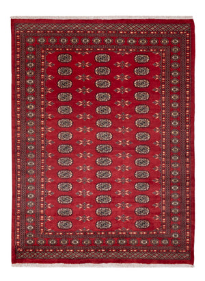 Pakistan Teppich - 231 x 172 cm - rot