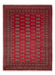 Tappeto Pakistani 231x172cm - Tappeto orientale