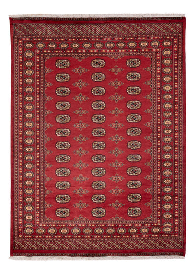 Tapis Pakistani 173x241cm - Tapis oriental