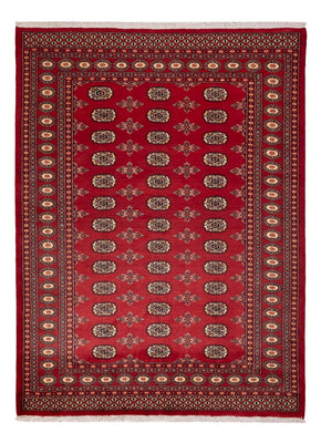Pakistan Teppich - 233 x 174 cm - rot