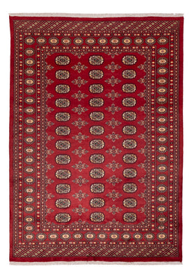 Pakistan Teppich - 245 x 170 cm - rot