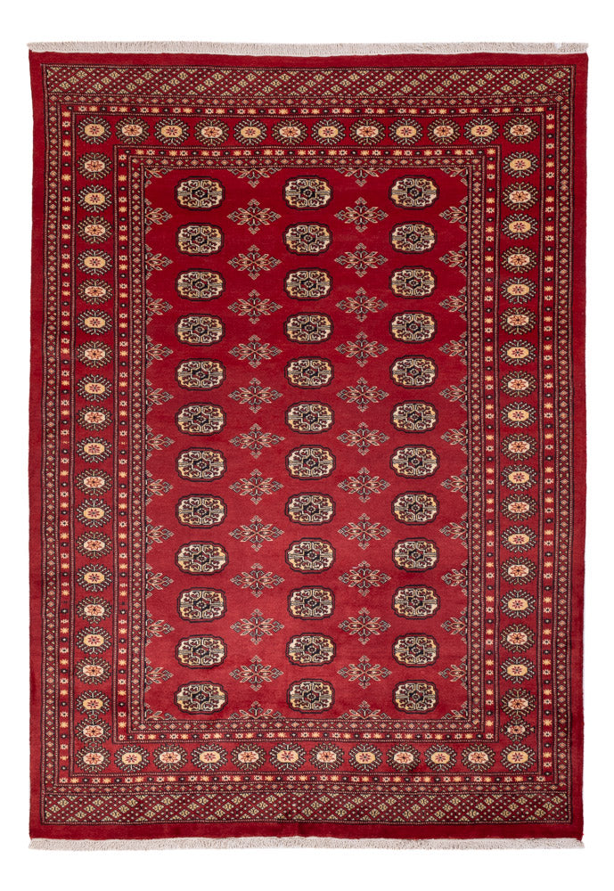 Pakistan Teppich - 245 x 170 cm - rot