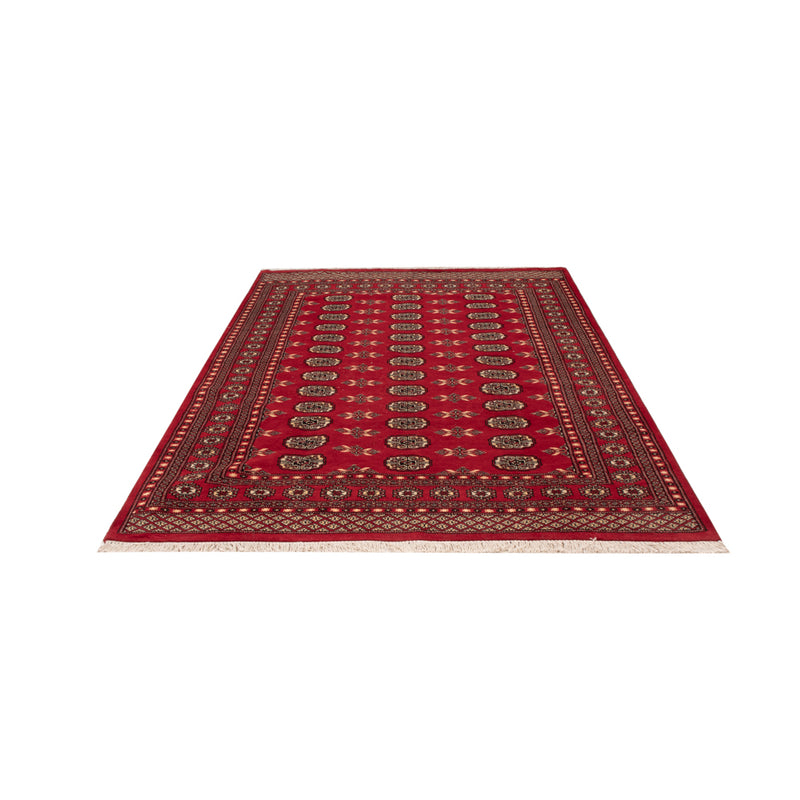 Pakistan Teppich - 258 x 179 cm - rot