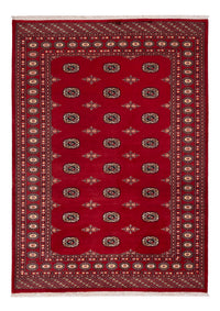 Tappeto Pakistani - 236 x 171 cm - rosso