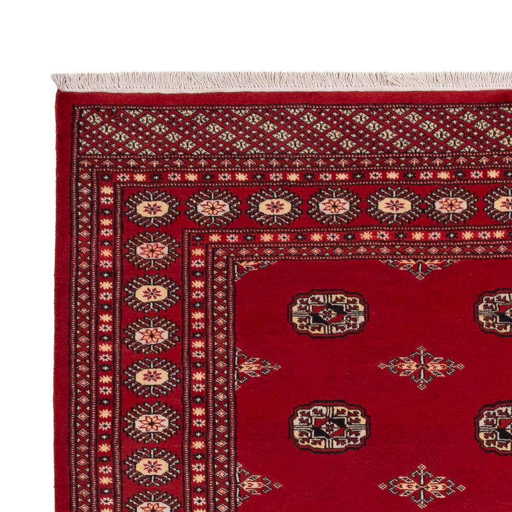 Tappeto Pakistani 236x171cm - Tappeto orientale
