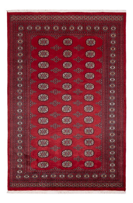 Pakistan Teppich - 249 x 167 cm - rot