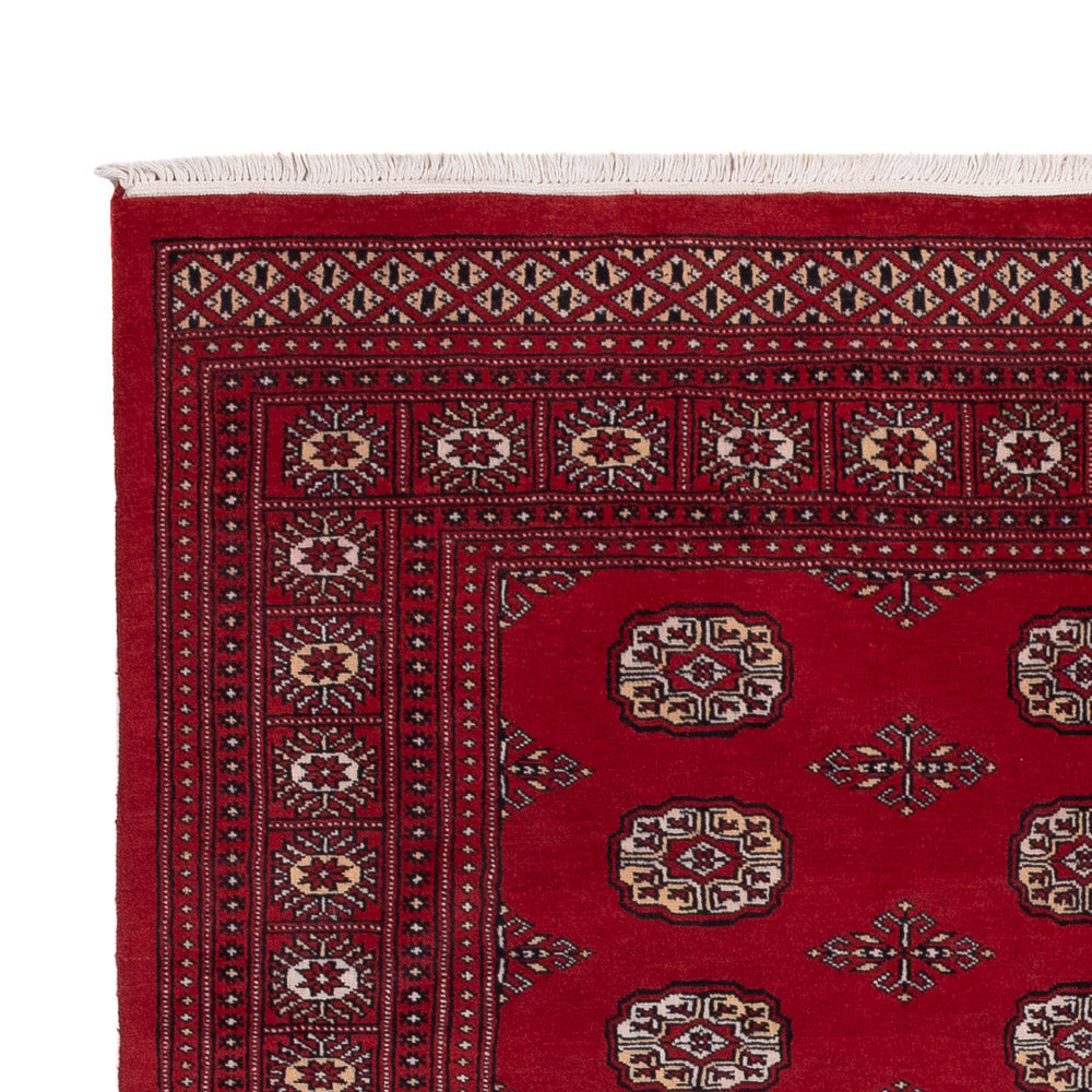 Tappeto Pakistani 249x167cm - Tappeto orientale
