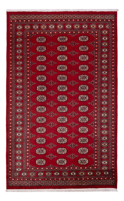 Pakistan Teppich - 266 x 167 cm - rot