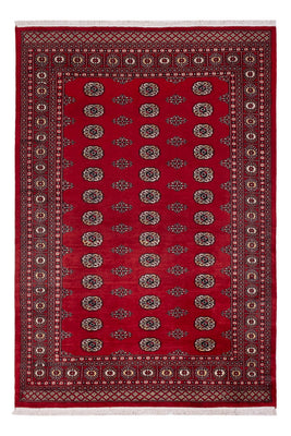 Pakistan Teppich - 239 x 164 cm - rot