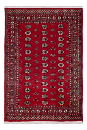 Pakistan Teppich - 239 x 164 cm - rot