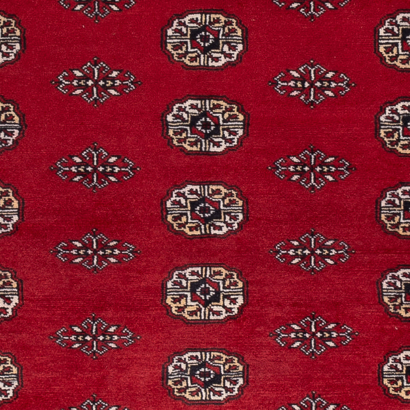 Pakistan Teppich - 239 x 164 cm - rot
