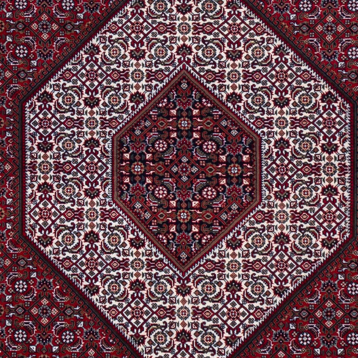 Orientteppich - Bidjar - Indus - 305 x 251 cm - dunkelrot