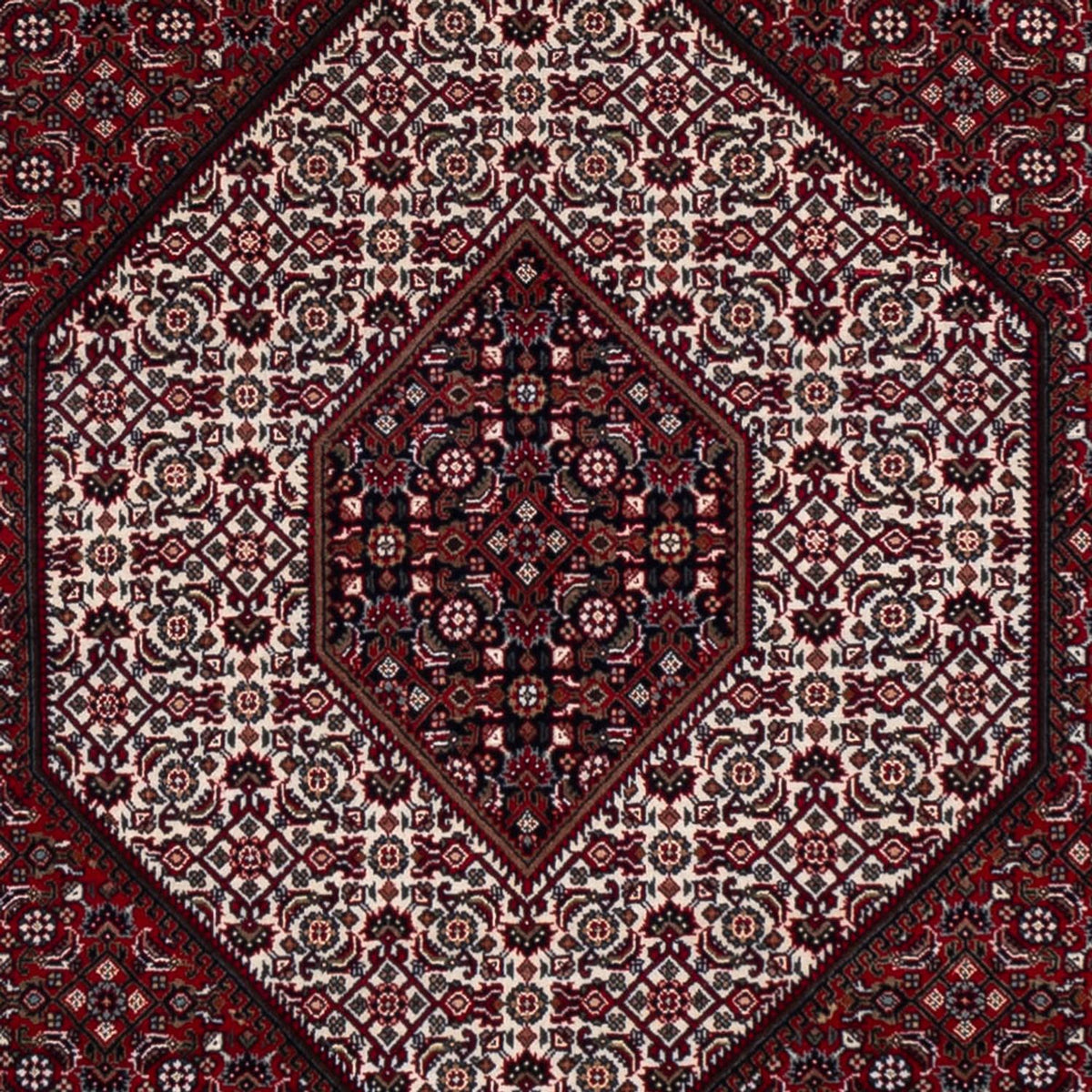 Tappeto orientale - Bidjar - Indo - 304 x 251 cm - rosso scuro
