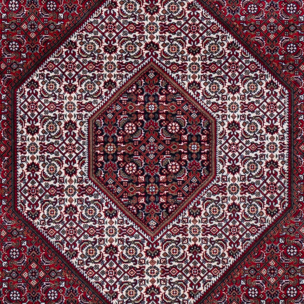 Orientteppich - Bidjar - Indus - 300 x 247 cm - dunkelrot