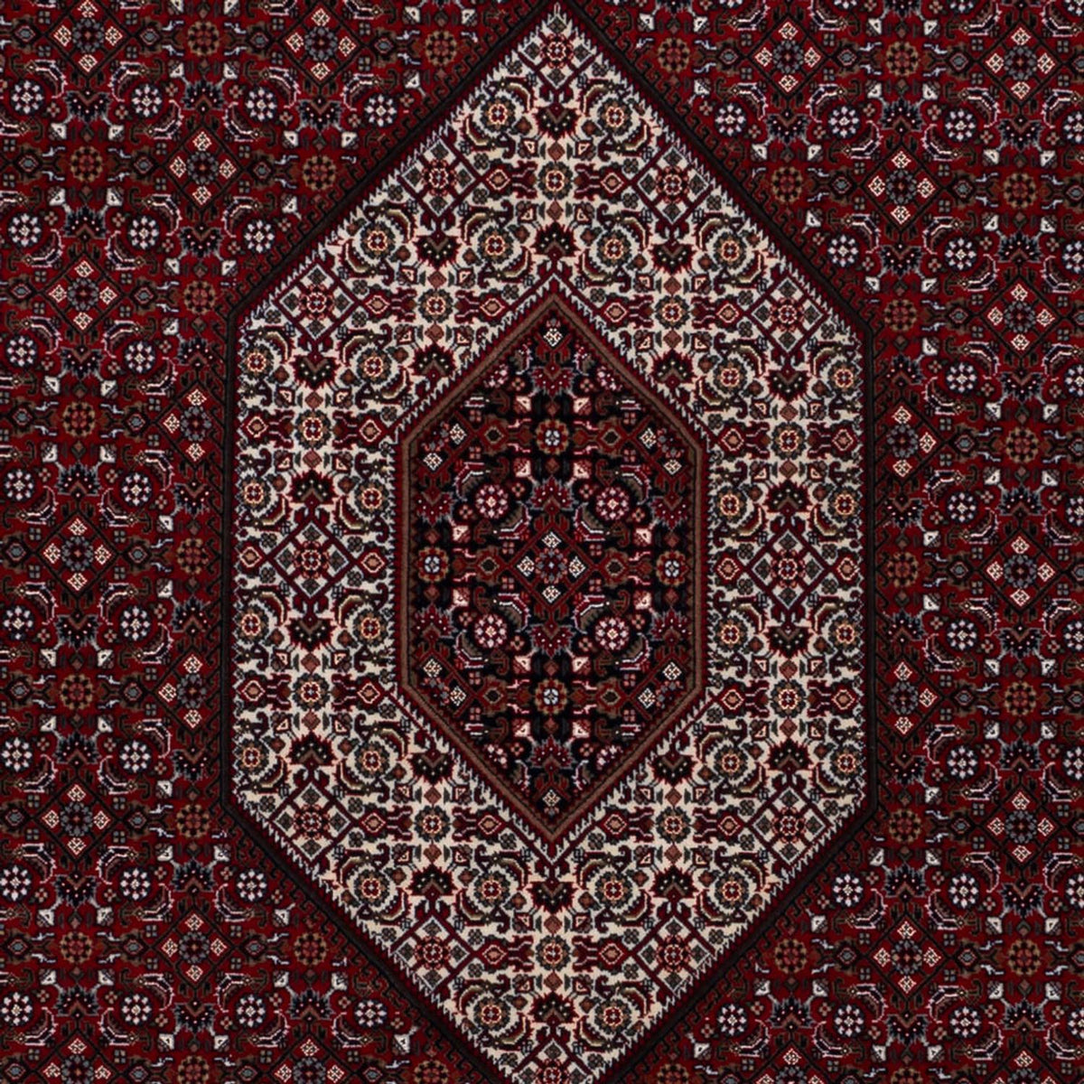 Orientteppich - Bidjar - Indus - 305 x 198 cm - dunkelcamel