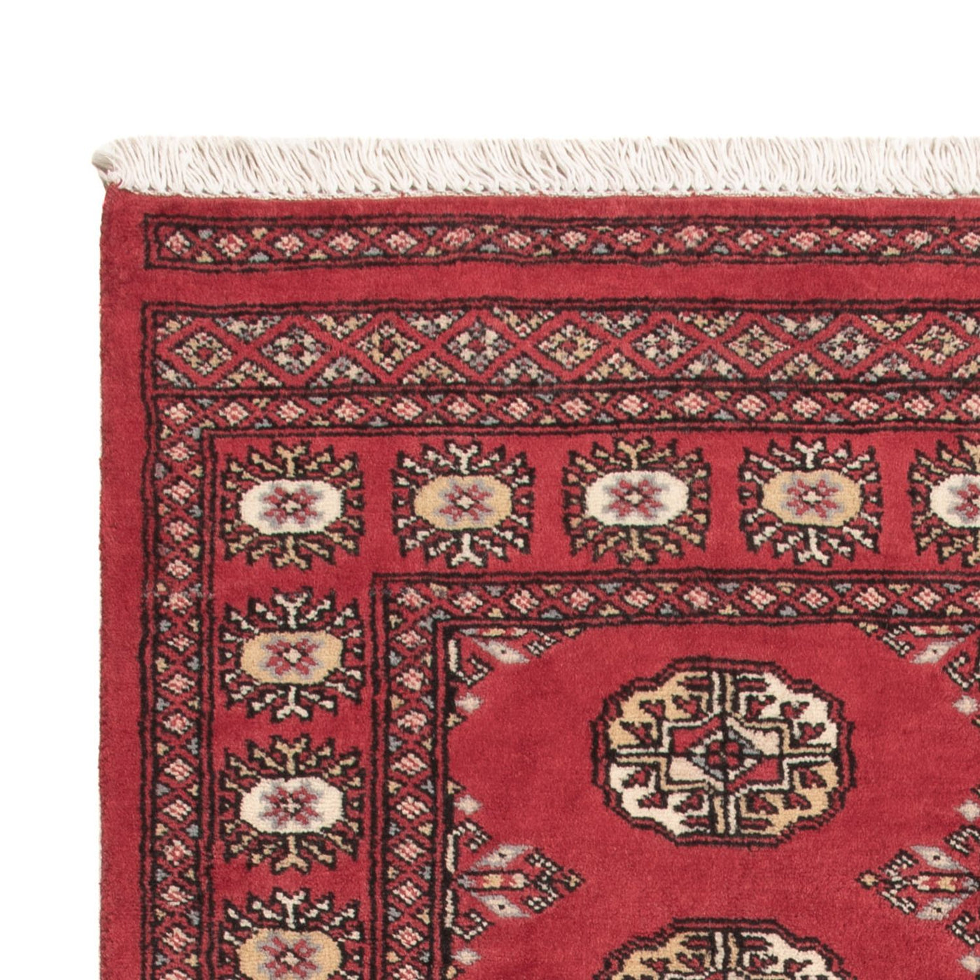 Tappeto Pakistani 156x92cm - Tappeto orientale