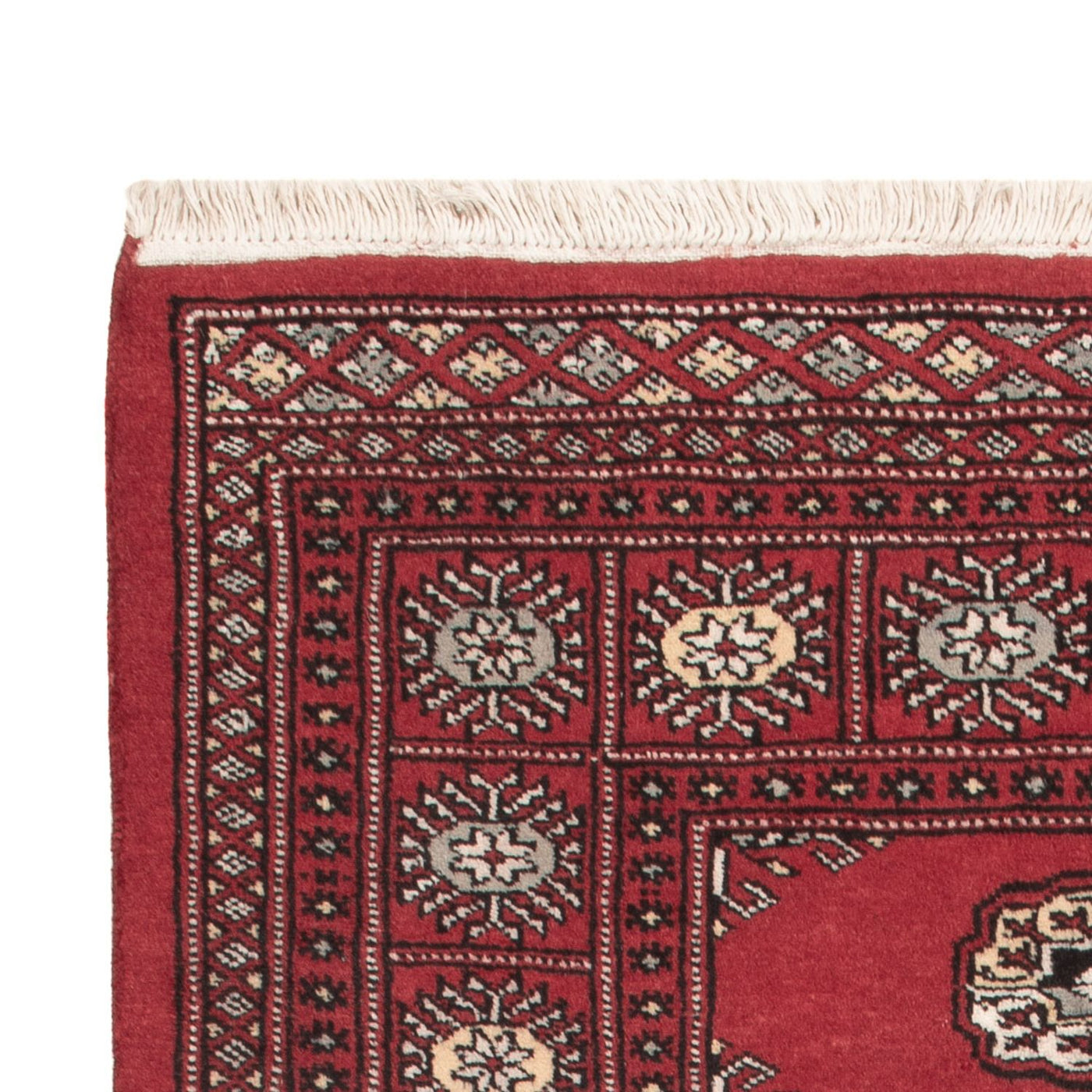 Pakistan Teppich 163x94cm - Orientteppich