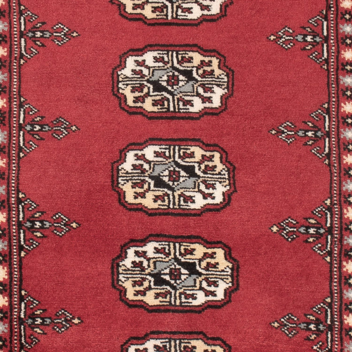 Pakistan Teppich - 150 x 93 cm - rot