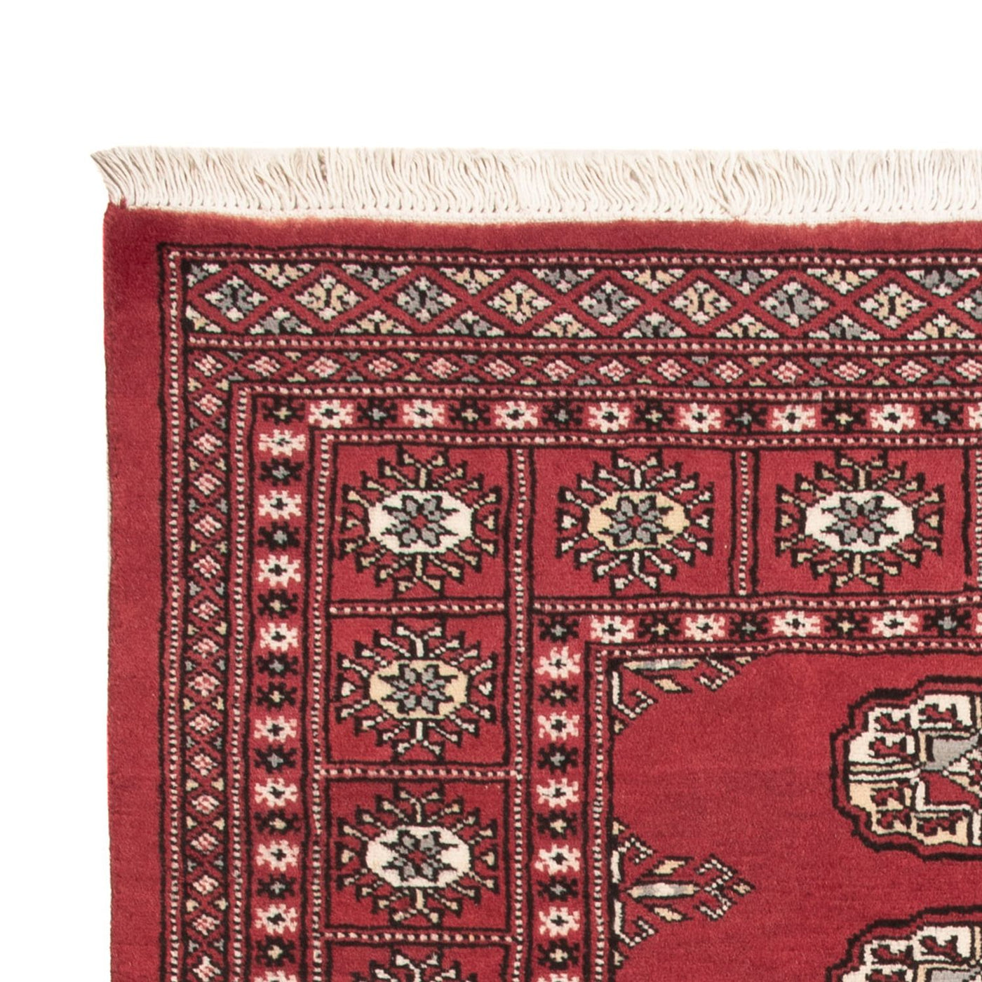 Tapis Pakistani 159x92cm - Tapis oriental