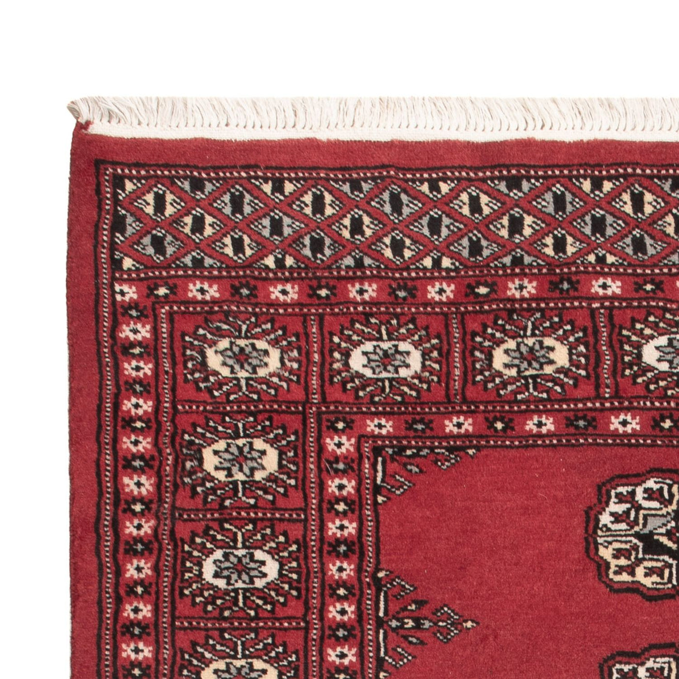 Tapis Pakistani 152x97cm - Tapis oriental