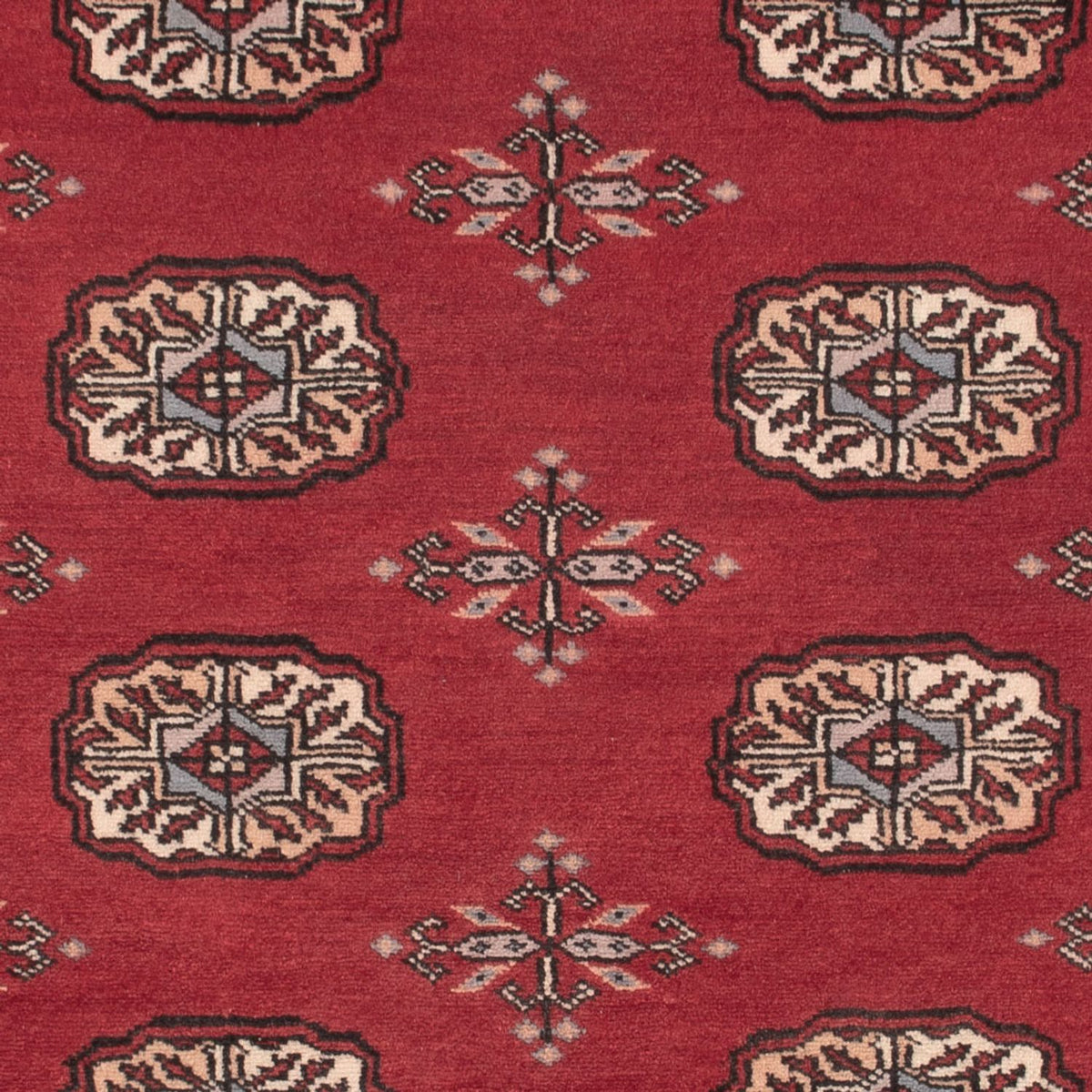 Pakistan Teppich - 156 x 96 cm - rot