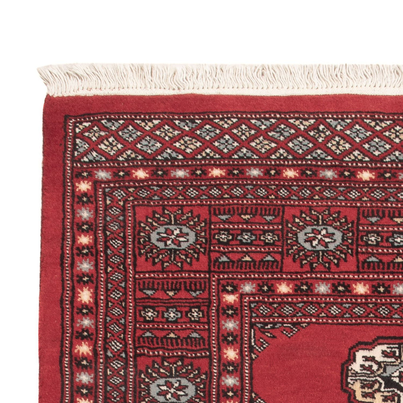 Tappeto Pakistani 144x93cm - Tappeto orientale