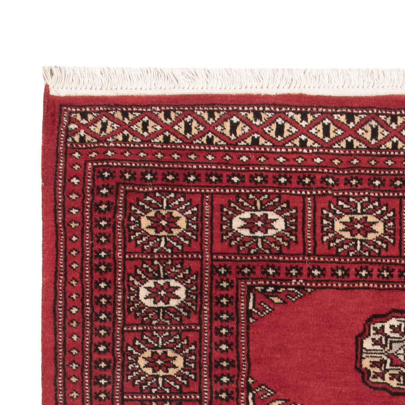 Pakistan Teppich 146x90cm - Orientteppich