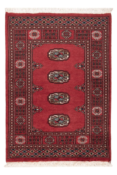 Pakistan Teppich 75x103cm - Orientteppich