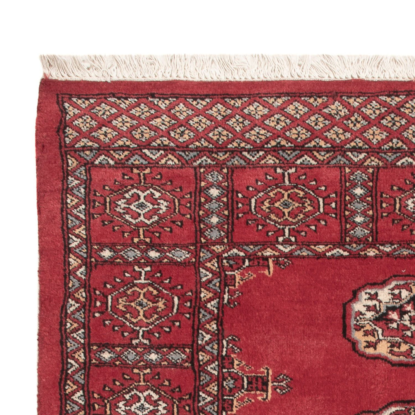 Tappeto Pakistani 145x94cm - Tappeto orientale