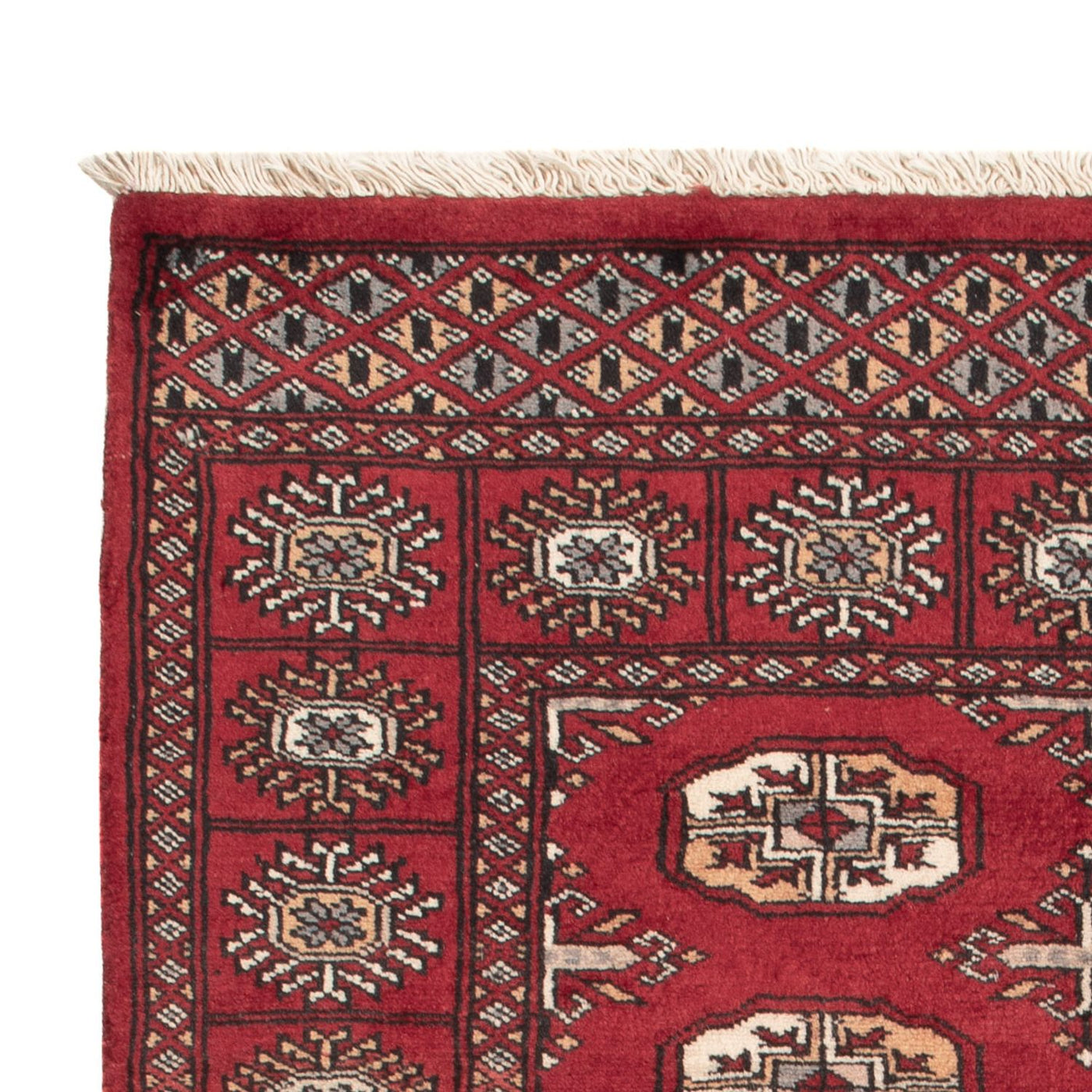 Tappeto Pakistani 144x91cm - Tappeto orientale