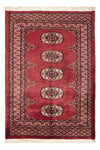 Tapis Pakistani 80x117cm - Tapis oriental - Rectangle / Rouge / 80 x 117 cm Rectangle
