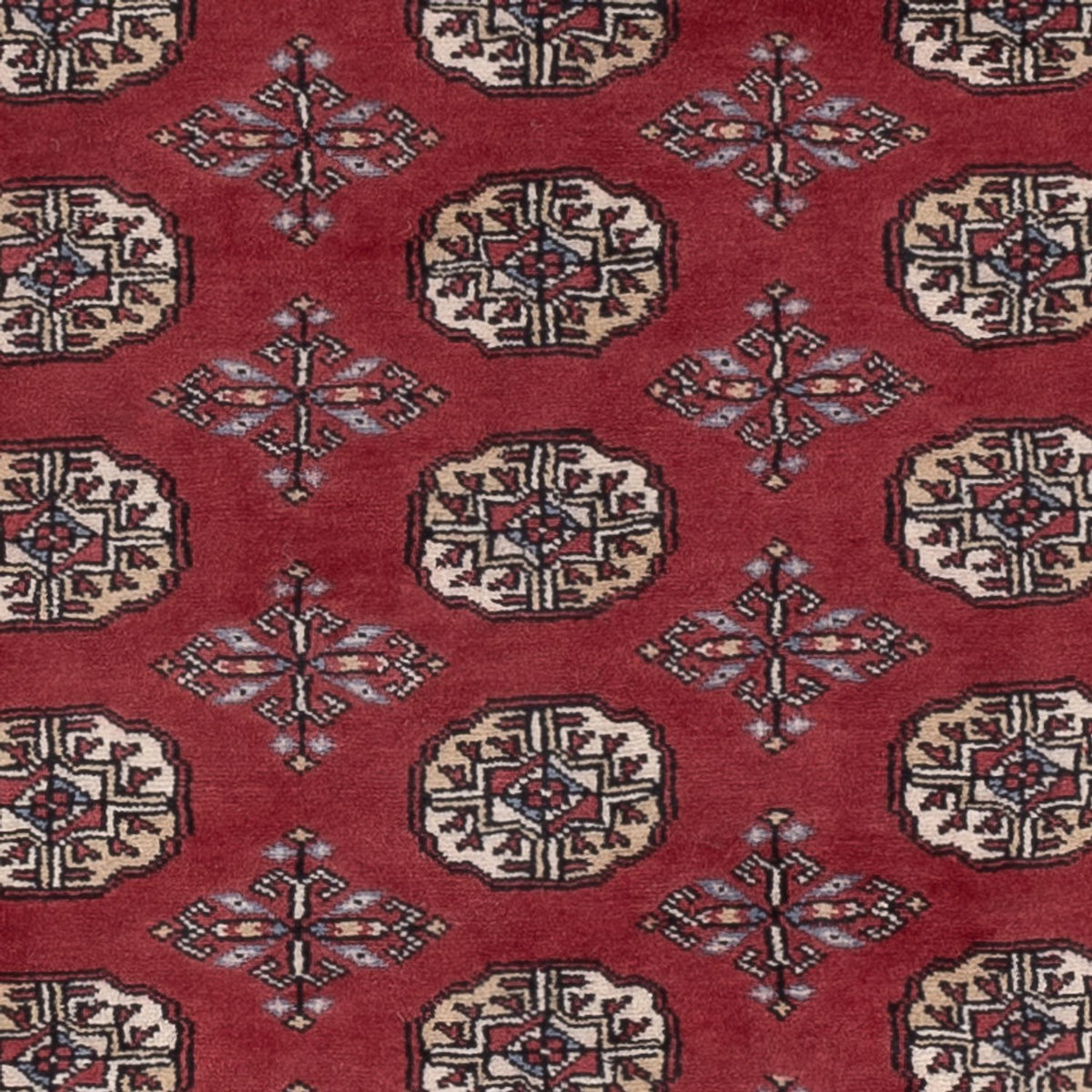 Pakistan Teppich - 182 x 125 cm - rot