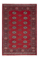 Pakistan Teppich 185x126cm - Orientteppich